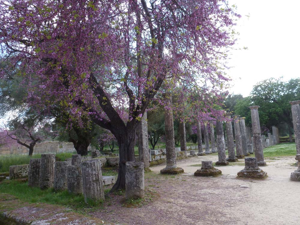 GREECE - Ruins at Olympia